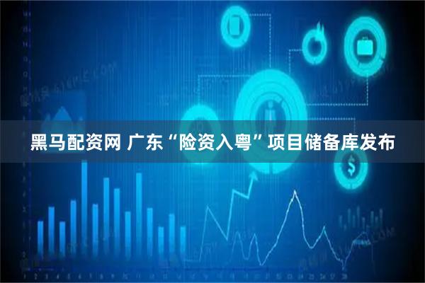 黑马配资网 广东“险资入粤”项目储备库发布